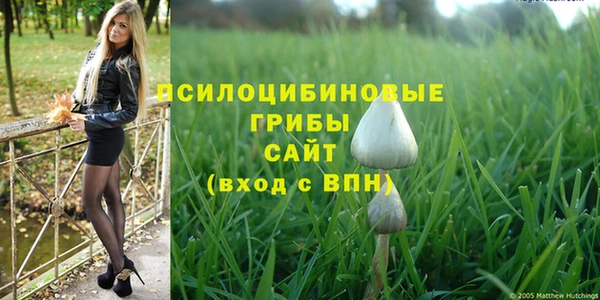 крисы Нефтегорск