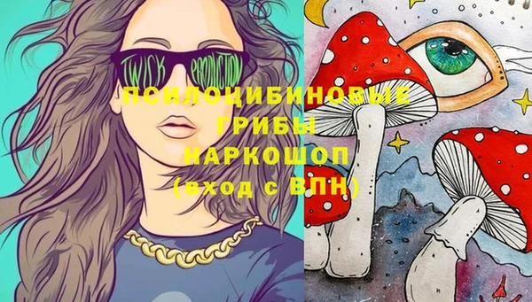 молекула духа Аркадак