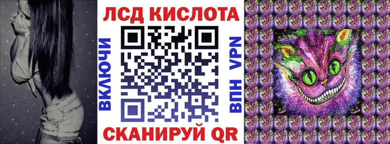 дарнет шоп  Ельня  Наркотические марки 1,5мг 