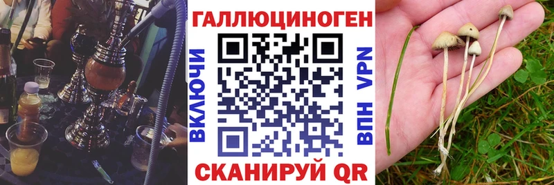 Галлюциногенные грибы мицелий  Ельня 